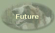 Future